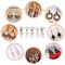 150 Pieces Hypoallergenic Earring Hooks Mixed Colors Ear Wire Hooks Earring Making Kit with 1000pcs Open Jump Rings 200pcs Earring Backs for Jewelry Making Findings